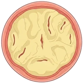 HorseJello 06 Cycle 4
